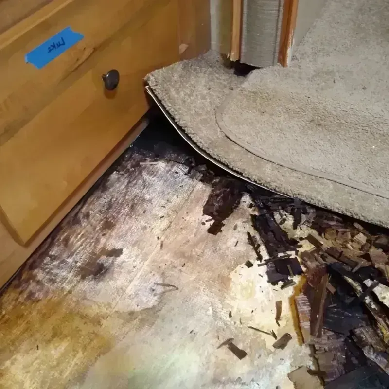 Best Wood Floor Water Damage Service in Pine Island Ridge, FL